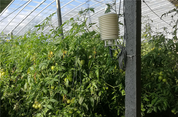 氣象監測系統需要監測的因素有哪些? 氣象監測系統需要監測的因素有哪些?