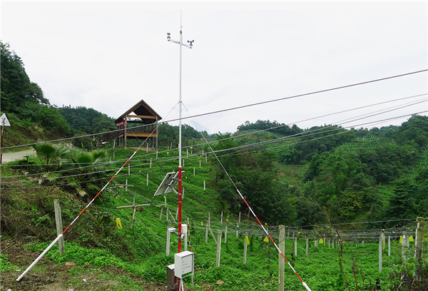 小型氣象站多少錢?風途小型氣象站報價 小型氣象站多少錢?風途小型氣象站報價