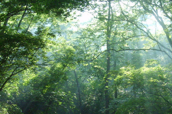 風速風向記錄儀 風速風向記錄儀