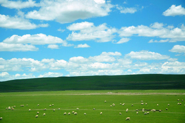 光伏太陽能環(huán)境監(jiān)測系統(tǒng) 光伏太陽能環(huán)境監(jiān)測系統(tǒng)